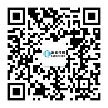 匹磁廠(chǎng)家